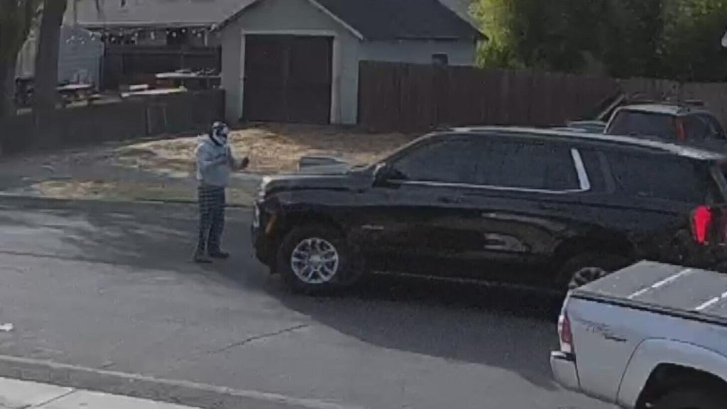 ICE responds after Woodland police dispute initial account of collision with pedestrian — CBS Bay Area (KPIX), Venice Health news