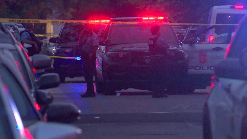 Minneapolis officer fires gun when armed teen carjacker hits squad in stolen car, police say — WCCO / CBS Minnesota, Venice Health news