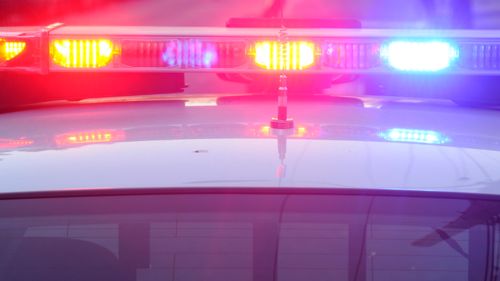 Broward man accused of trying to kidnap 13-year-old from Miramar gas station, police say — CBS Miami, Venice Business news