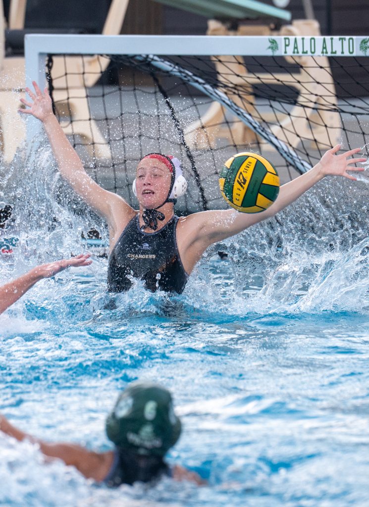 Wilcox Water Polo Caught in Vikings Rip Current — Silicon Valley Voice, Venice Sports news