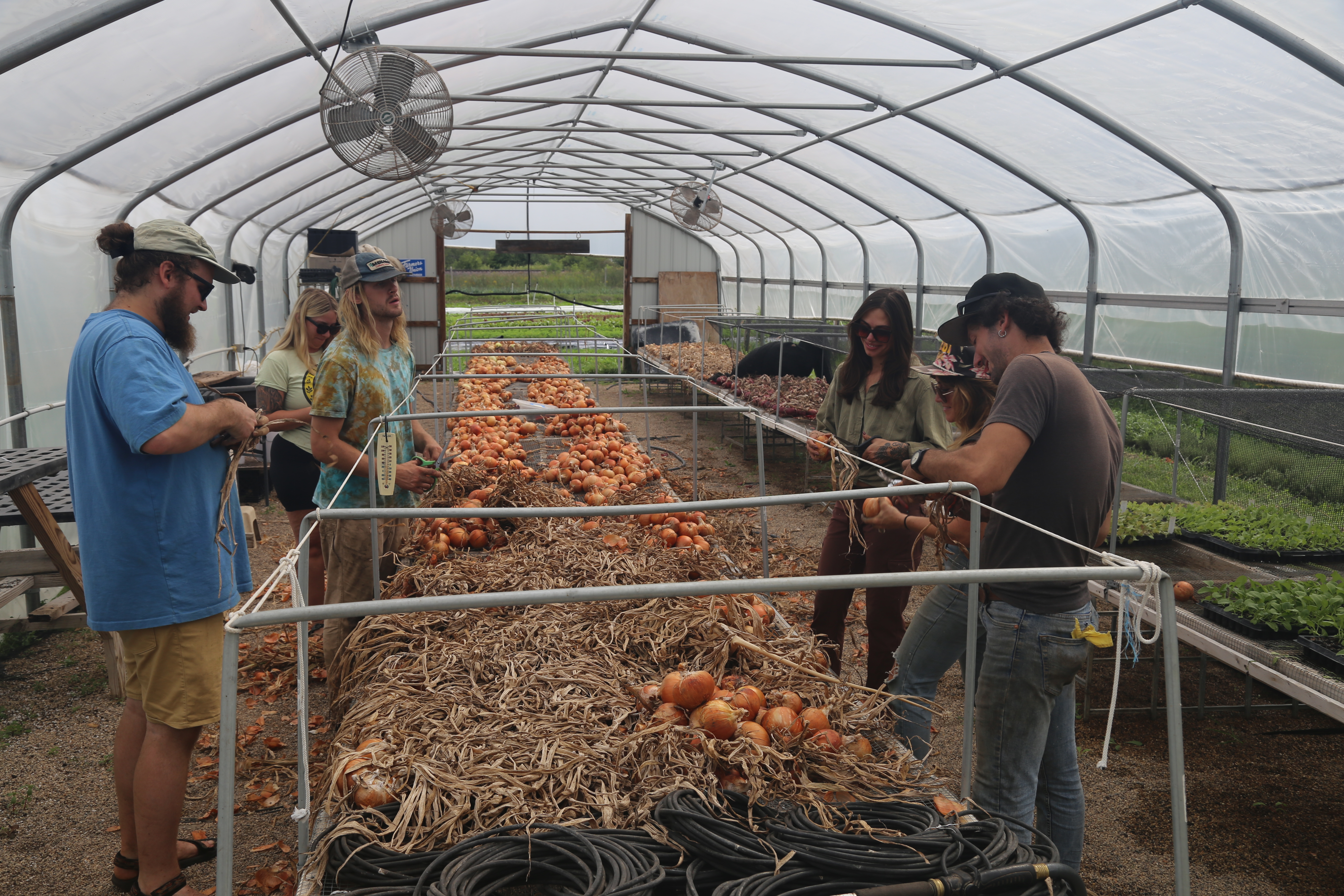 Roommates, farmers, and coworkers: Life together on this organic Oak Creek farm — TMJ4 Milwaukee