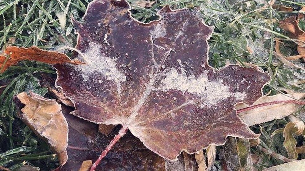 Chilly start to the weekend with widespread freeze Saturday morning — Fox 11 Green Bay Local, Venice Community news