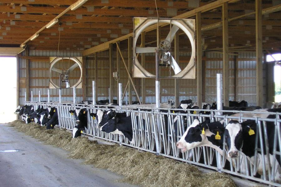 Dairy group seeks farmer input on fuel costs and farm economics — KFGO, Venice Business news