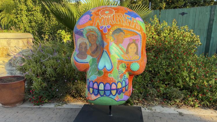 San Antonio Zoo adds 7 giant sugar skulls to Día de los Muertos celebration — KENS 5 (San Antonio), Venice Sports news