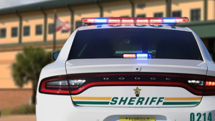 4-year-old critically injured after gun fires off inside vehicle in Bartow: deputies — WTSP 10 Tampa Bay, Venice Community news