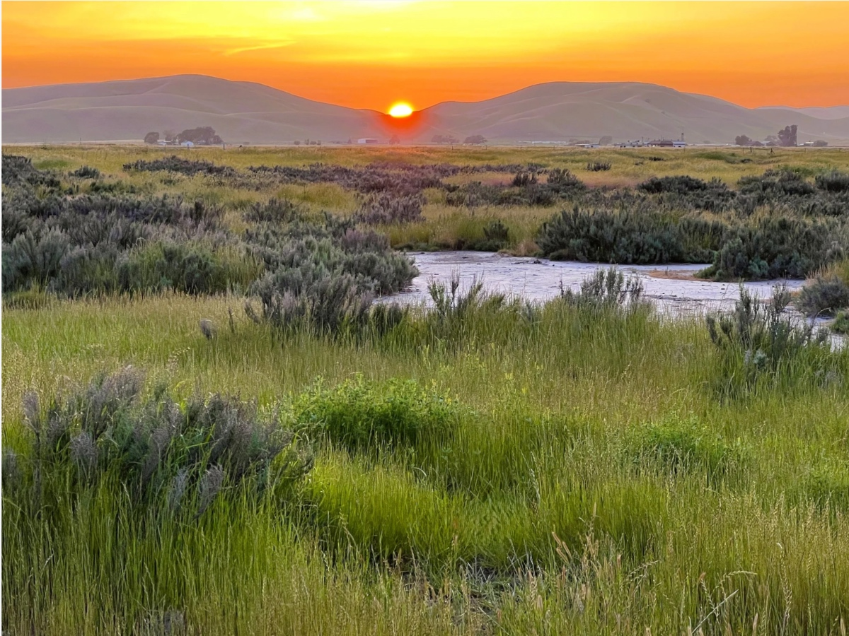331 Acres Of Tri-Valley Wildlife Habitat, Open Space Permanently Protected — Danville Patch, Venice Community news