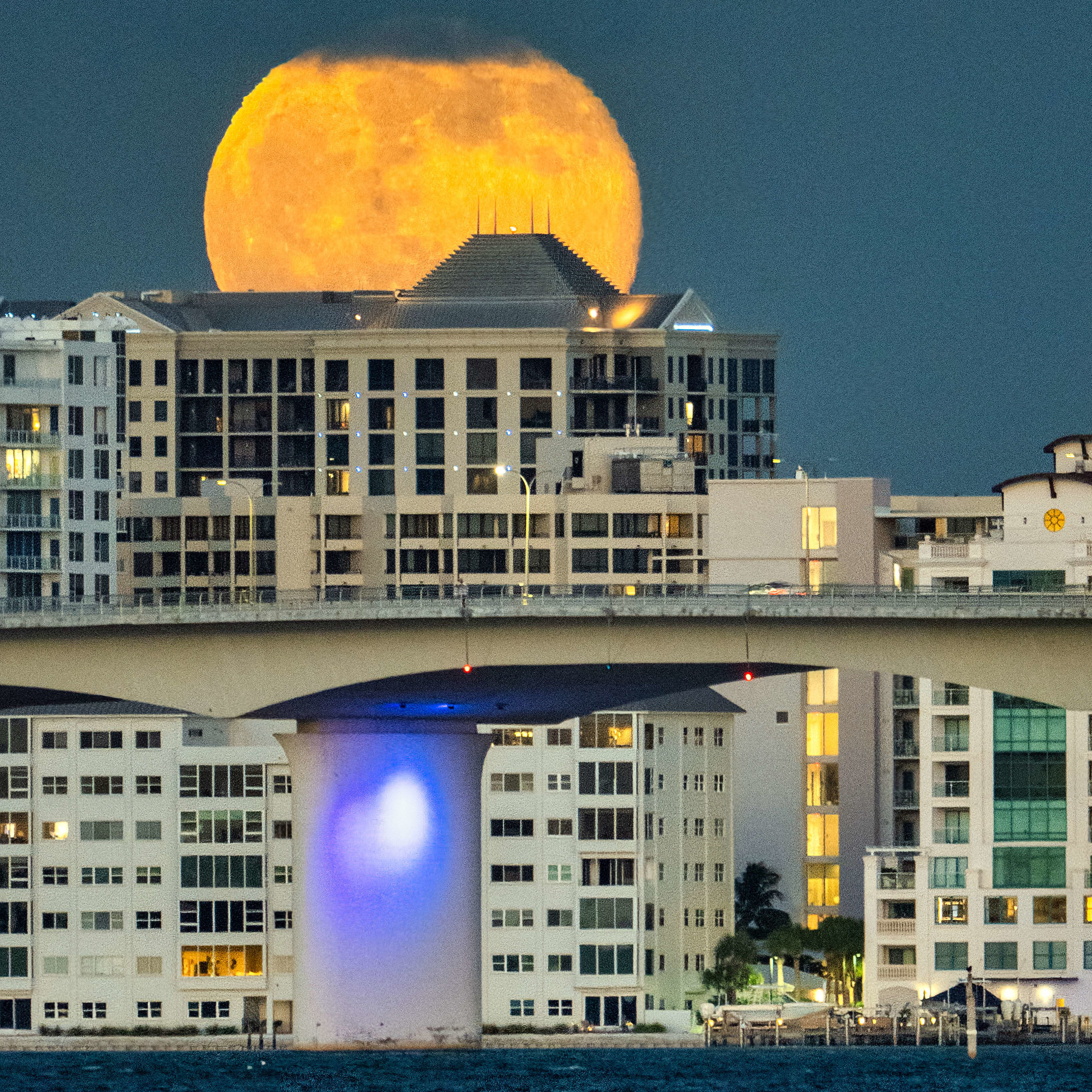 Photo of the Week: Beneath the Hunter’s Moon — Venice Business news