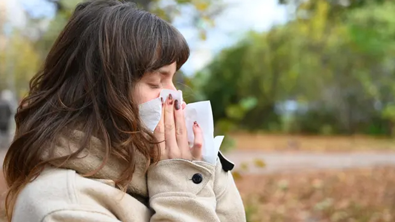 Fall allergies or a cold? Here’s how to tell what’s making you miserable — FOX 13 Tampa Bay News, Venice Sports news