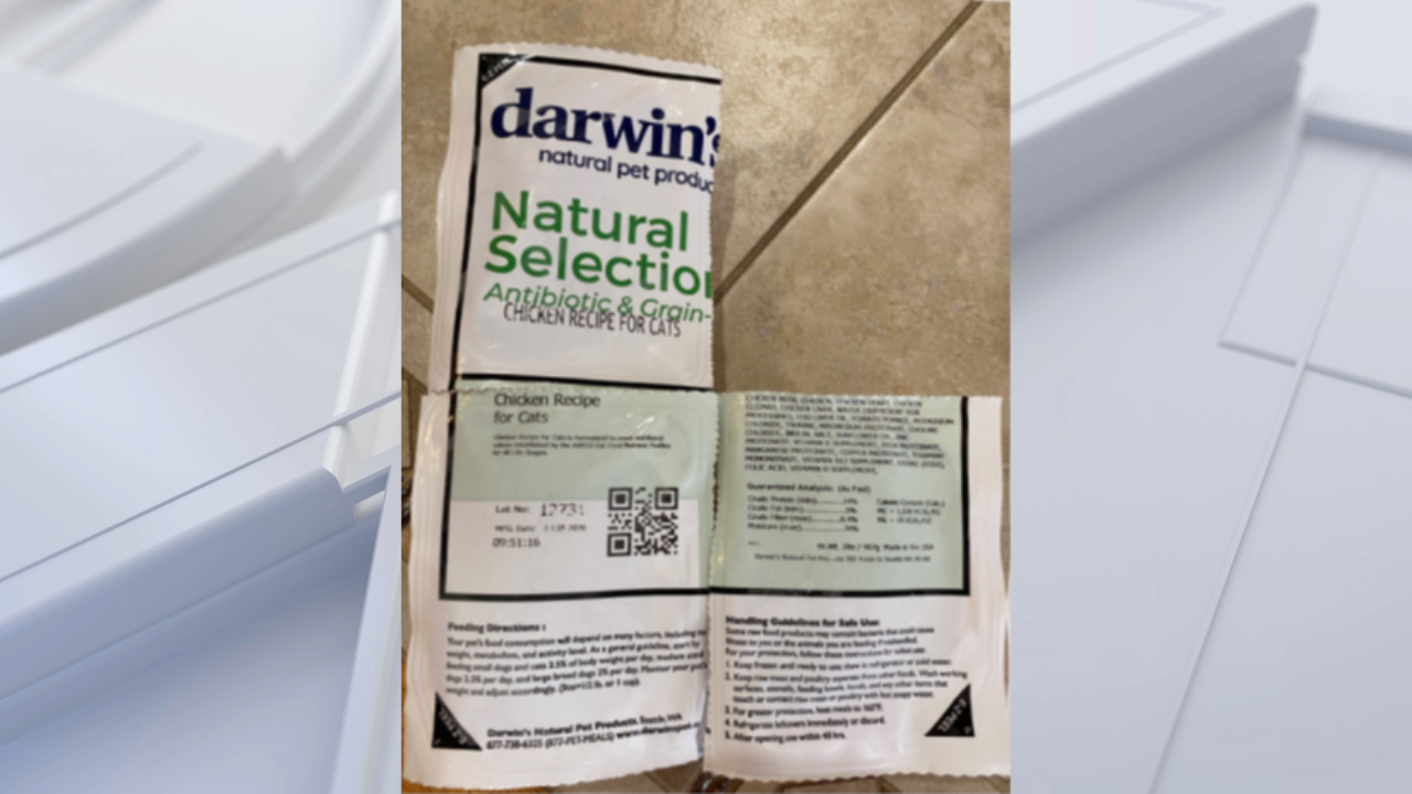 FDA warns pet owners after salmonella found in frozen cat food — Venice Community news