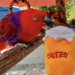 Wonder on Tap events to benefit Wonder Gardens — Florida Weekly