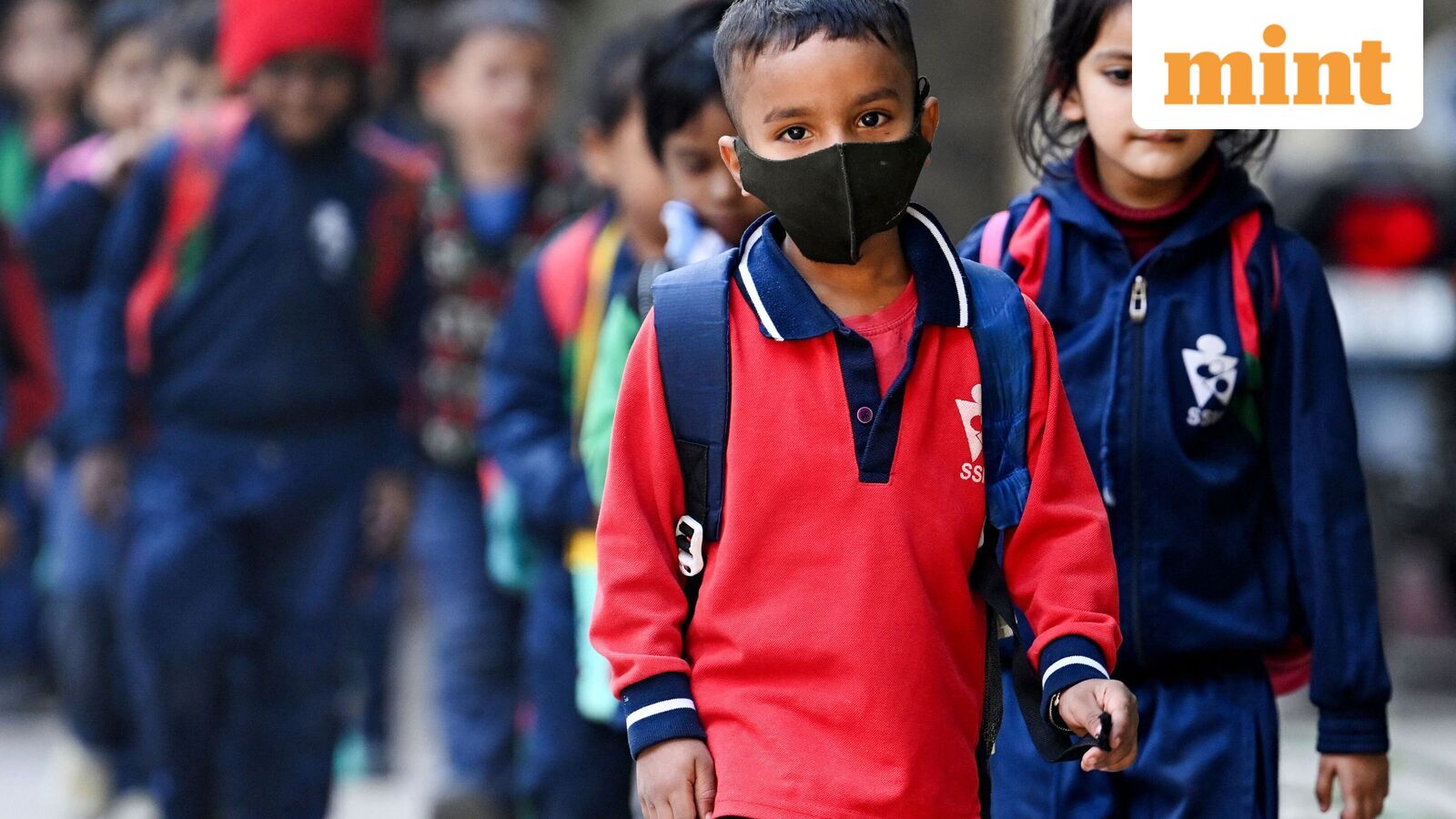 Chennai school holiday, Oct 21: Schools shut in four Tamil Nadu districts as heavy rains predicted | Check IMD alert — Mint India, Venice Schools news